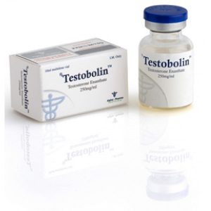 Ostaa Testosteron enanthate: Testobolin (vial) Hinta